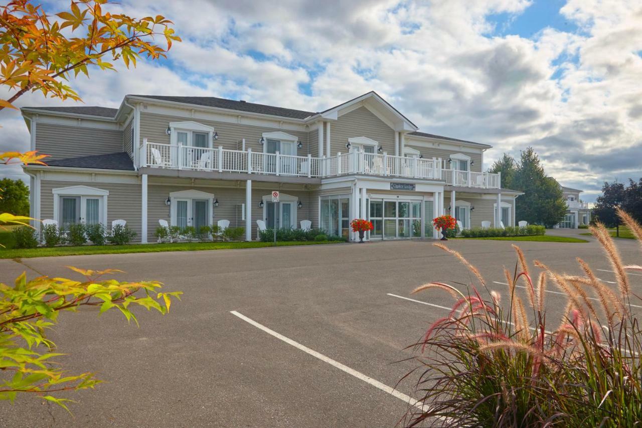 Hotel The Waring House Picton Exterior foto